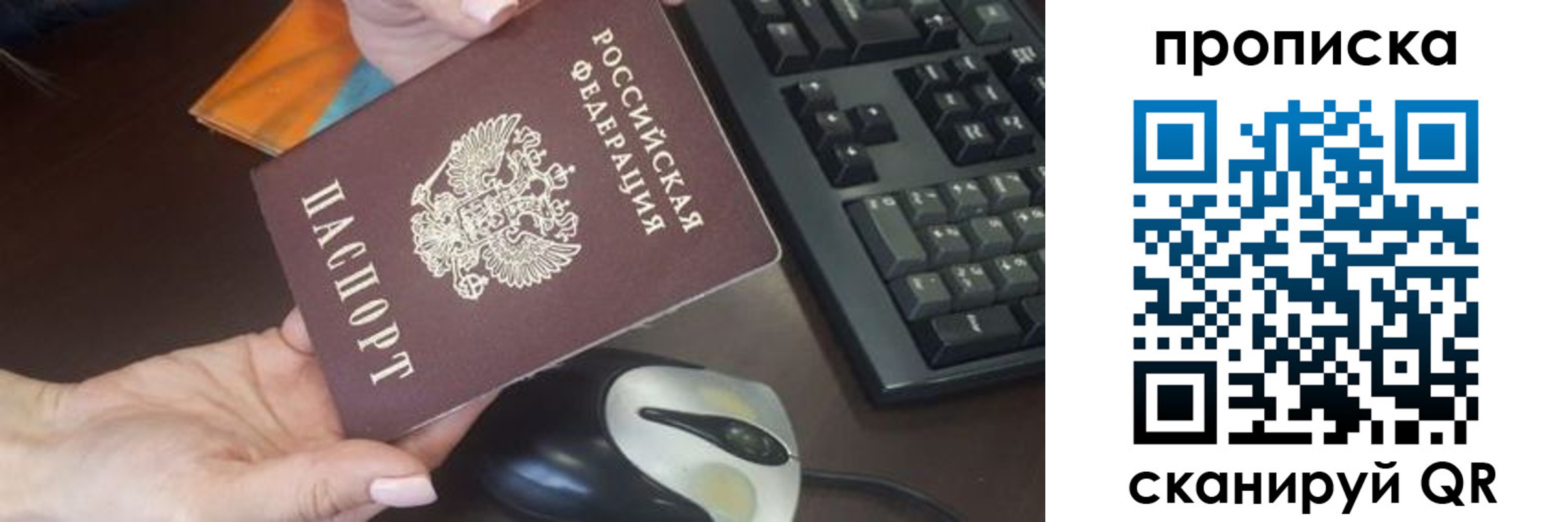 прописка гарантия в Коле